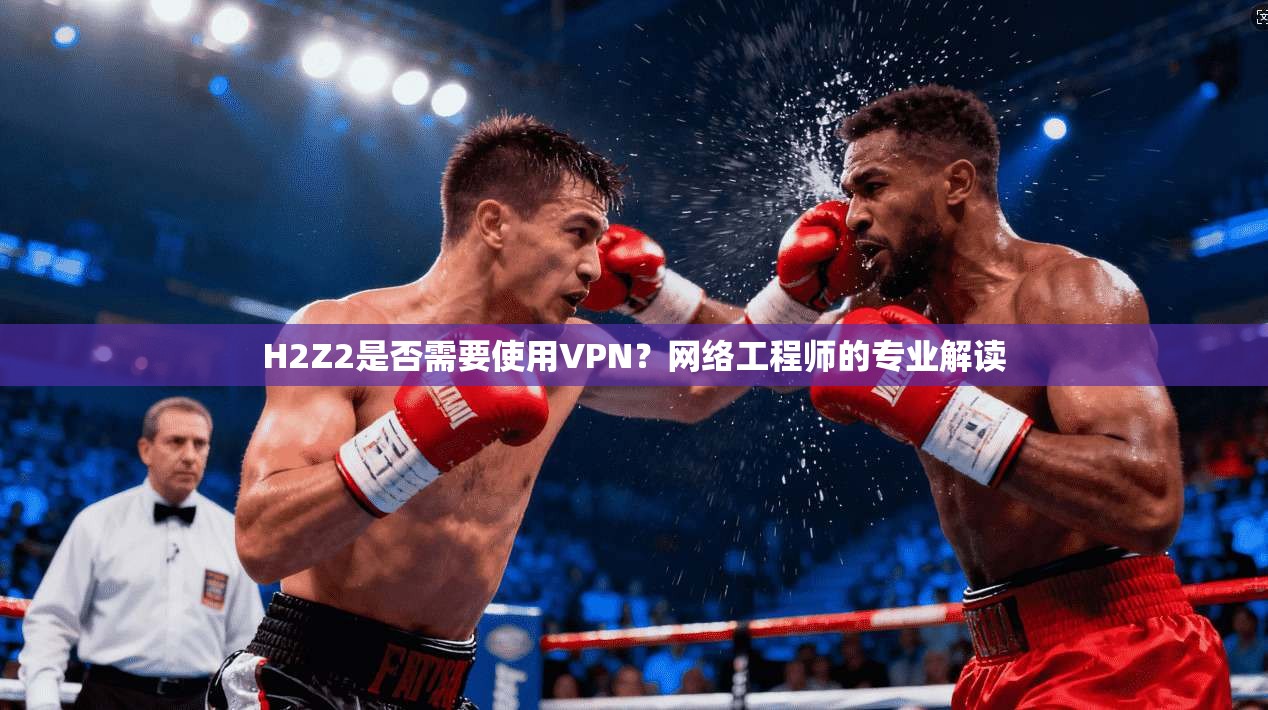 H2Z2是否需要使用VPN？网络工程师的专业解读