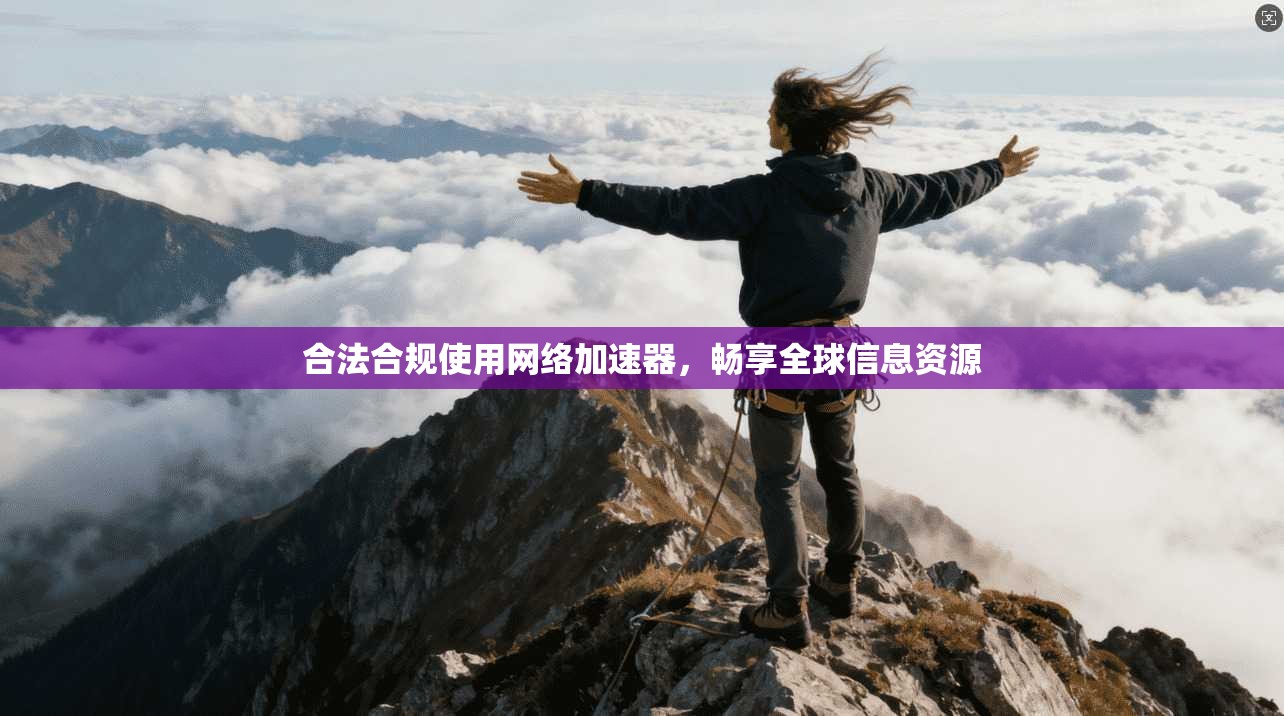 合法合规使用网络加速器,畅享全球信息资源
