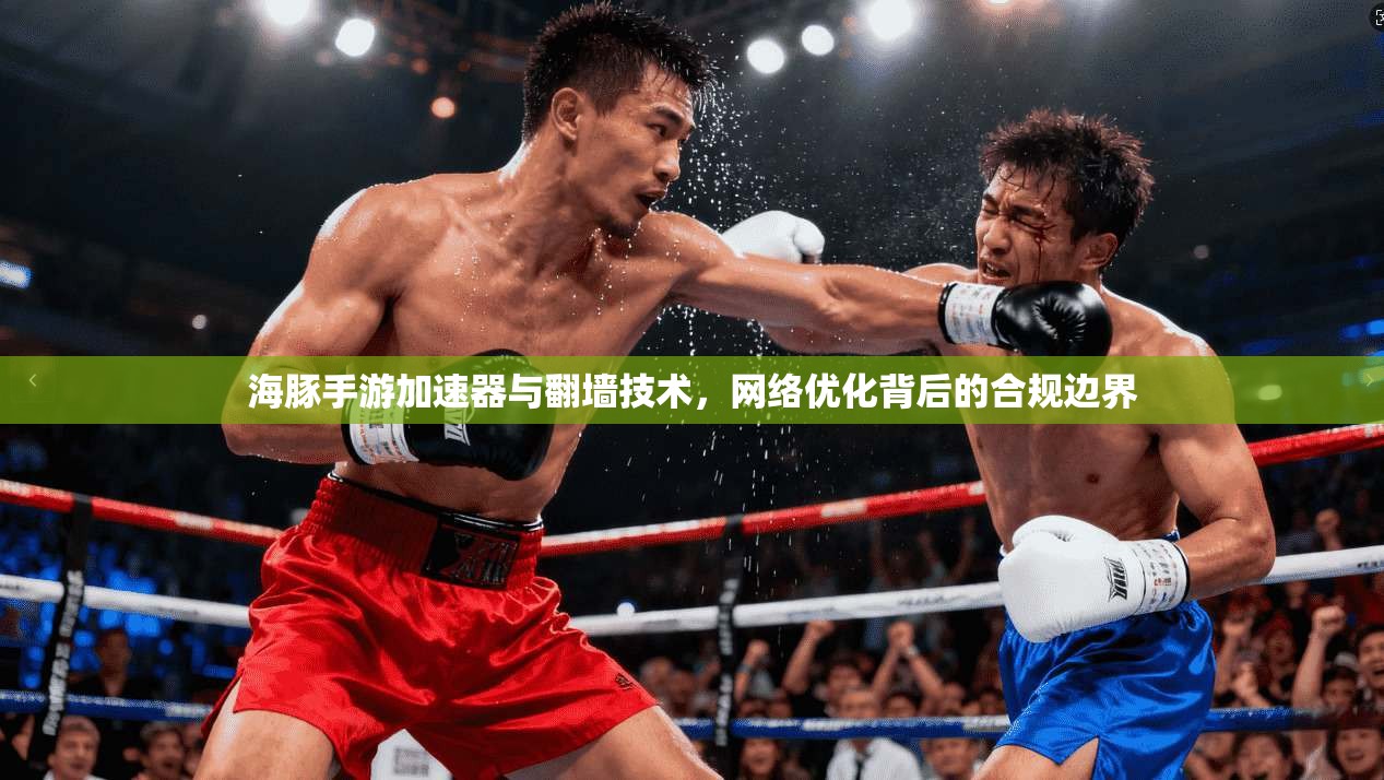 海豚手游加速器与翻墙技术,网络优化背后的合规边界
