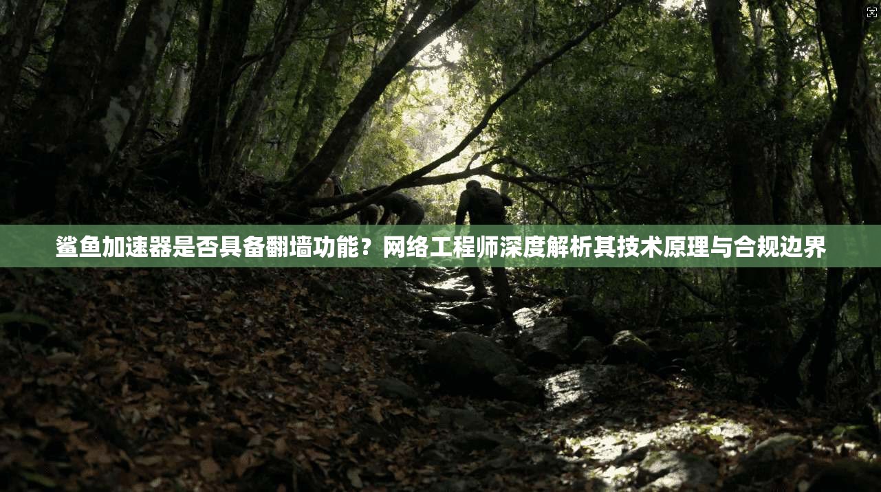 鲨鱼加速器是否具备翻墙功能?网络工程师深度解析其技术原理与合规边界