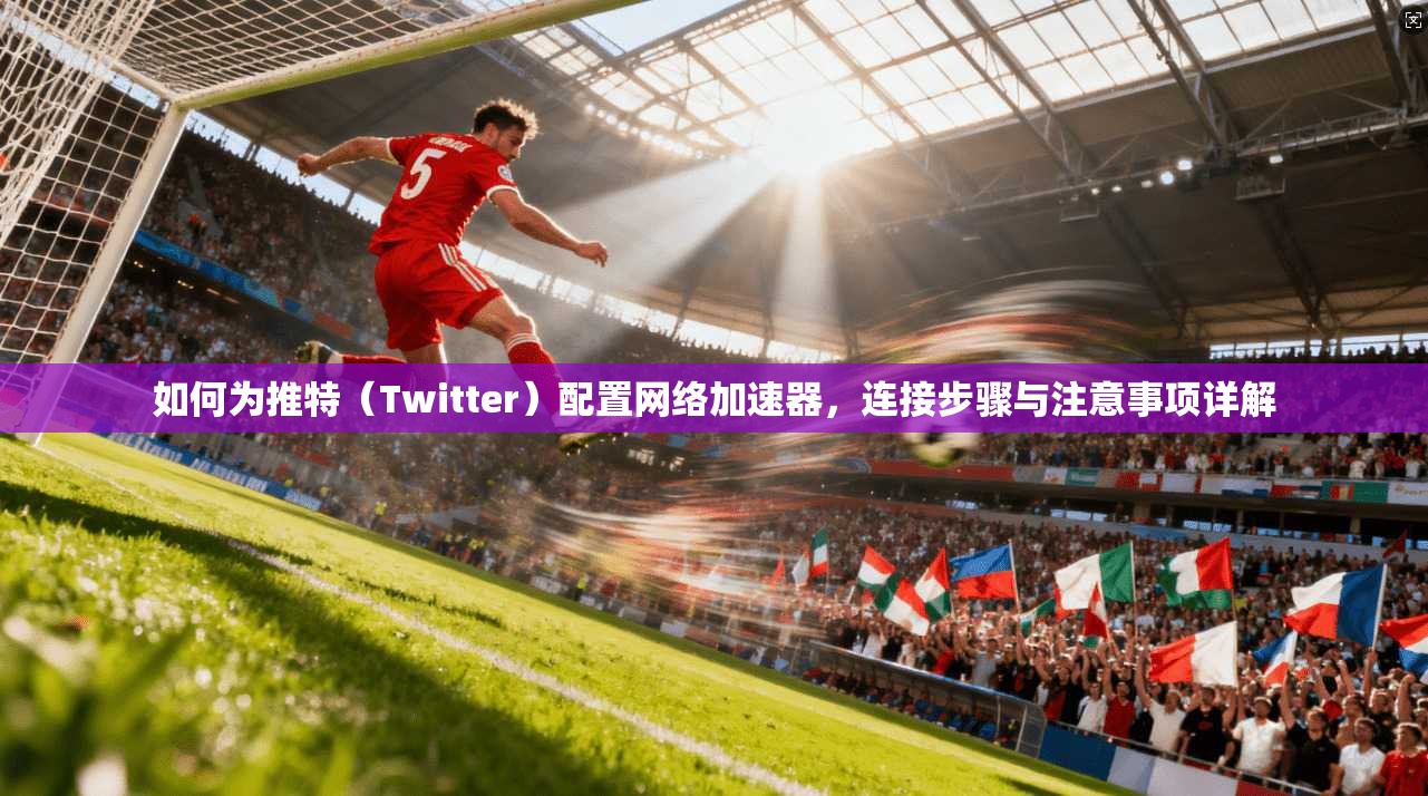 如何为推特(Twitter)配置网络加速器,连接步骤与注意事项详解