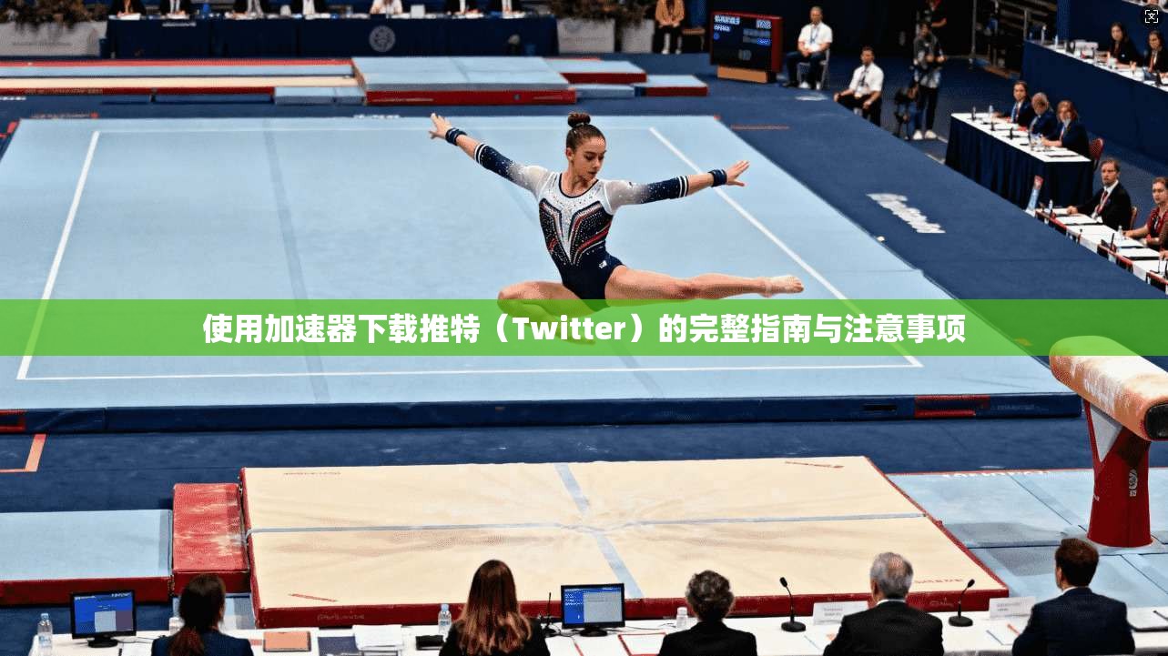 使用加速器下载推特（Twitter）的完整指南与注意事项