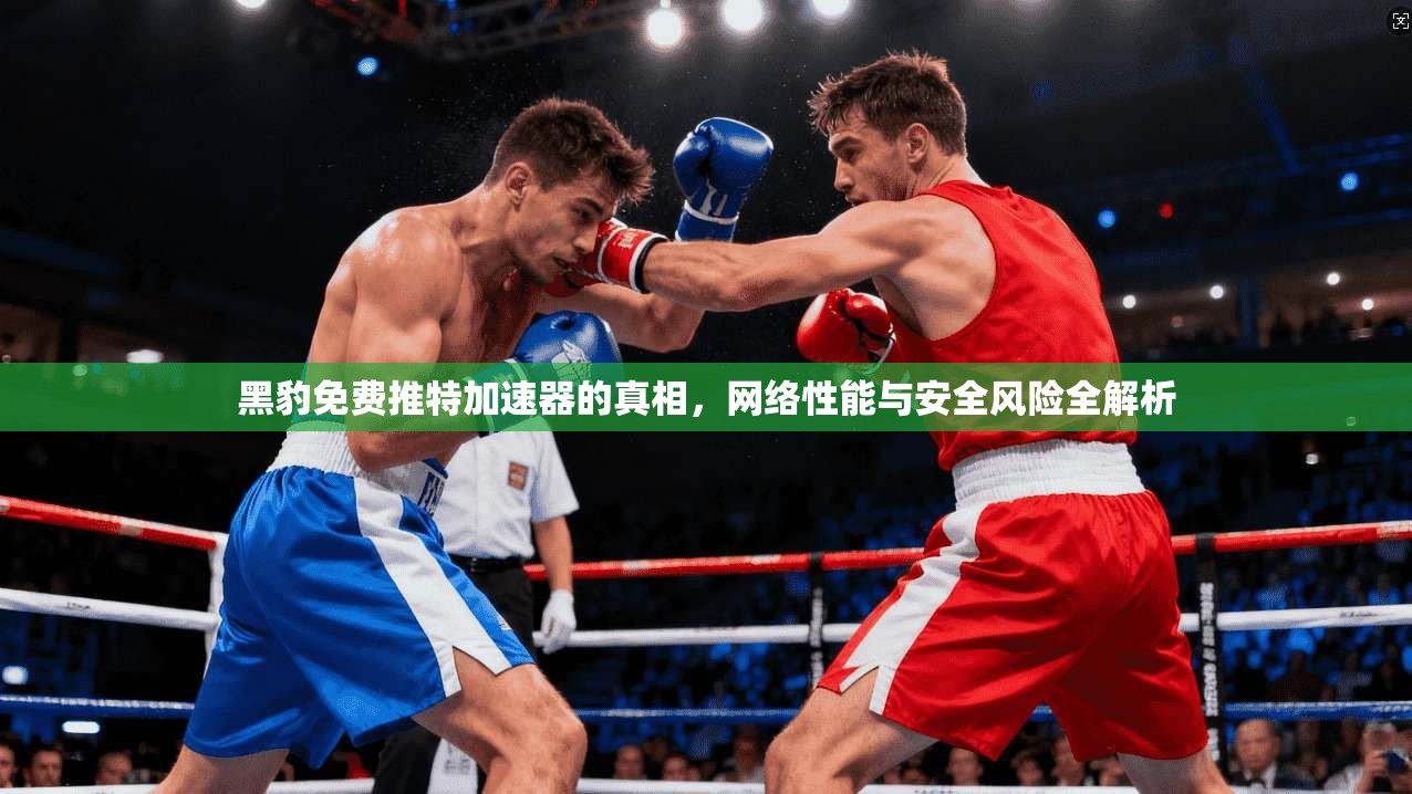 黑豹免费推特加速器的真相,网络性能与安全风险全解析