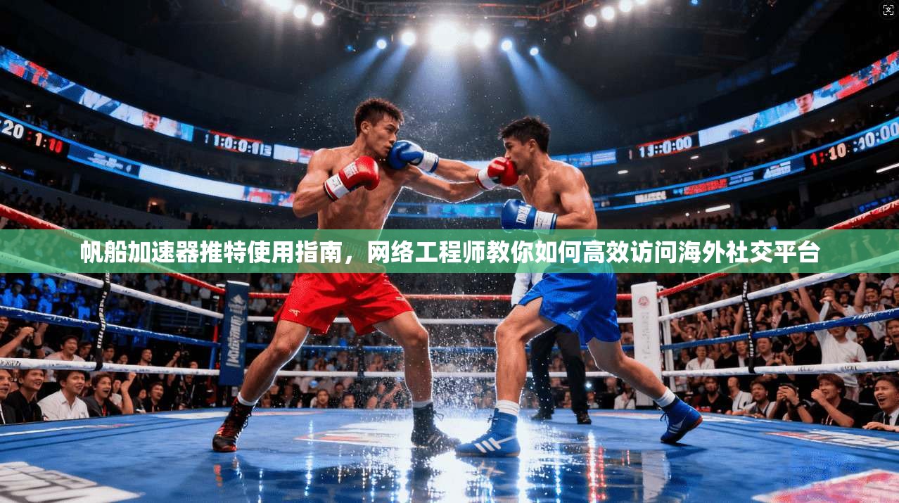 帆船加速器推特使用指南,网络工程师教你如何高效访问海外社交平台