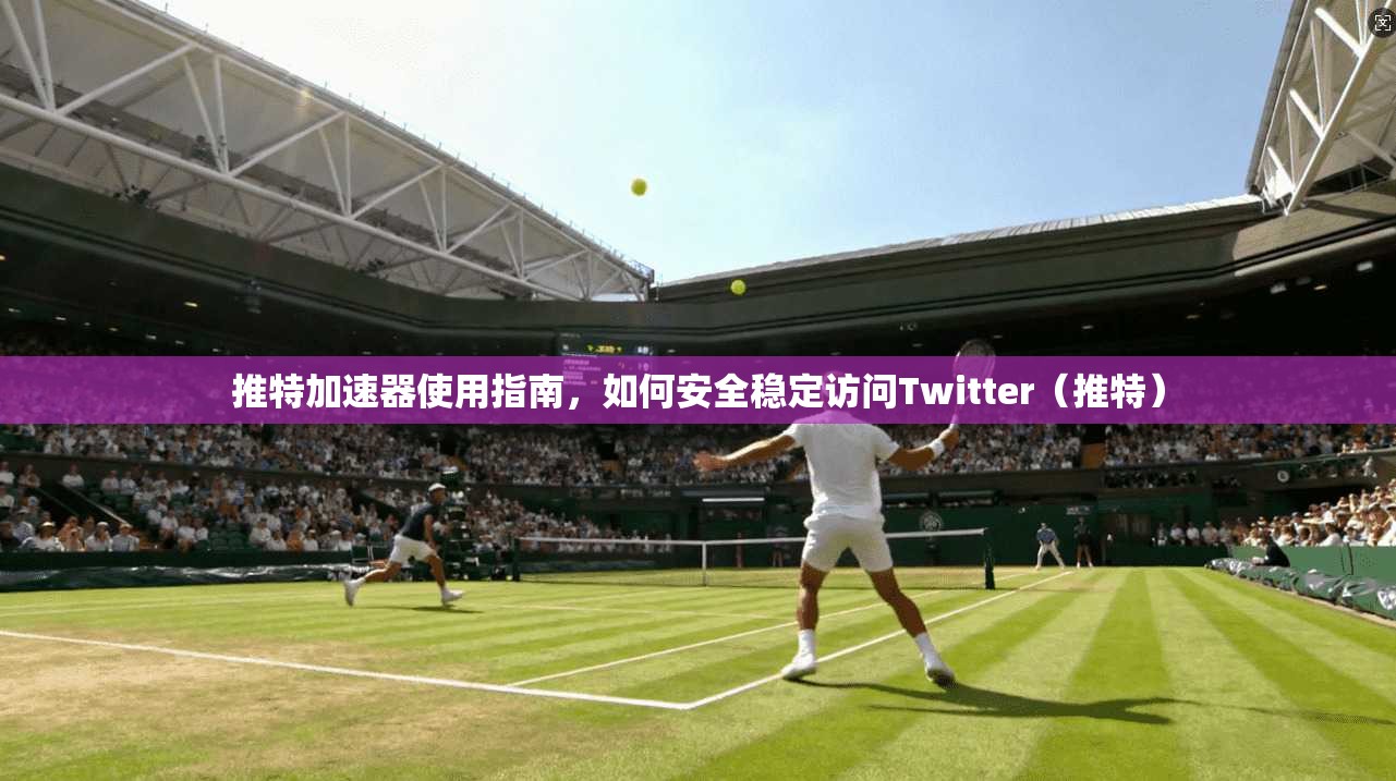 推特加速器使用指南,如何安全稳定访问Twitter(推特)
