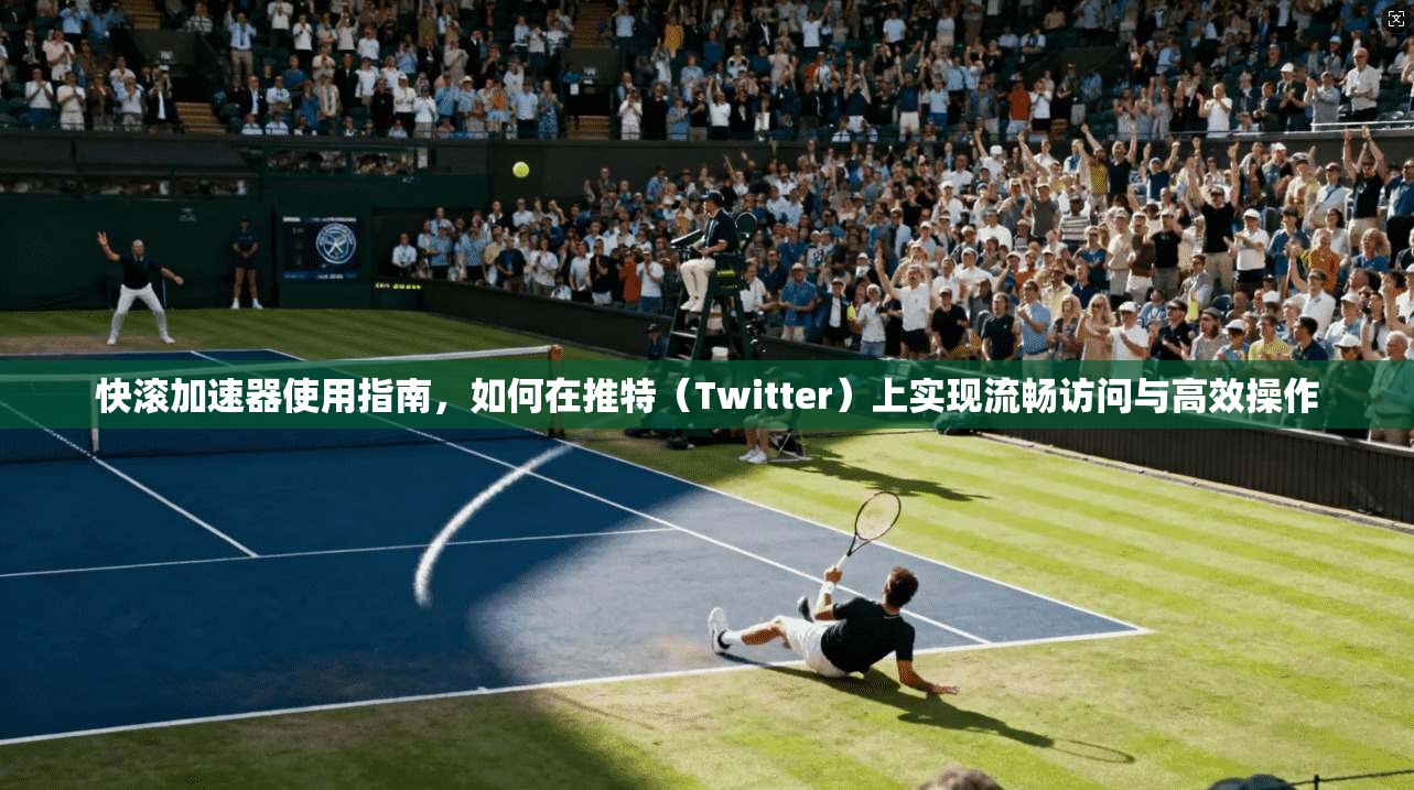 快滚加速器使用指南，如何在推特（Twitter）上实现流畅访问与高效操作