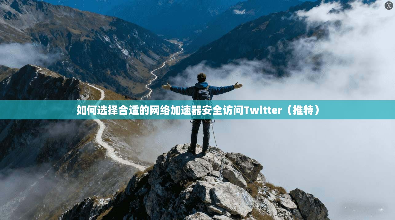 如何选择合适的网络加速器安全访问Twitter（推特）