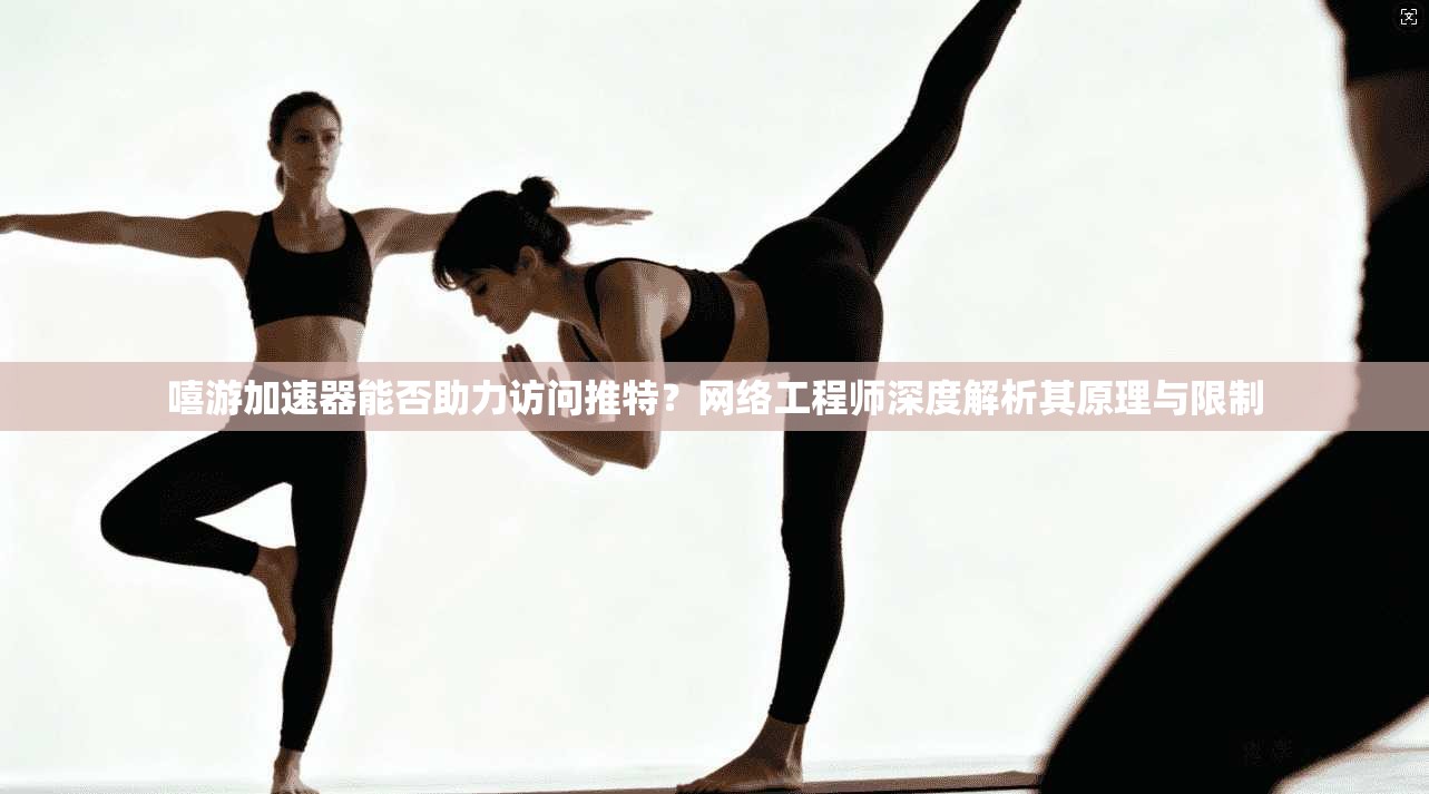 嘻游加速器能否助力访问推特?网络工程师深度解析其原理与限制