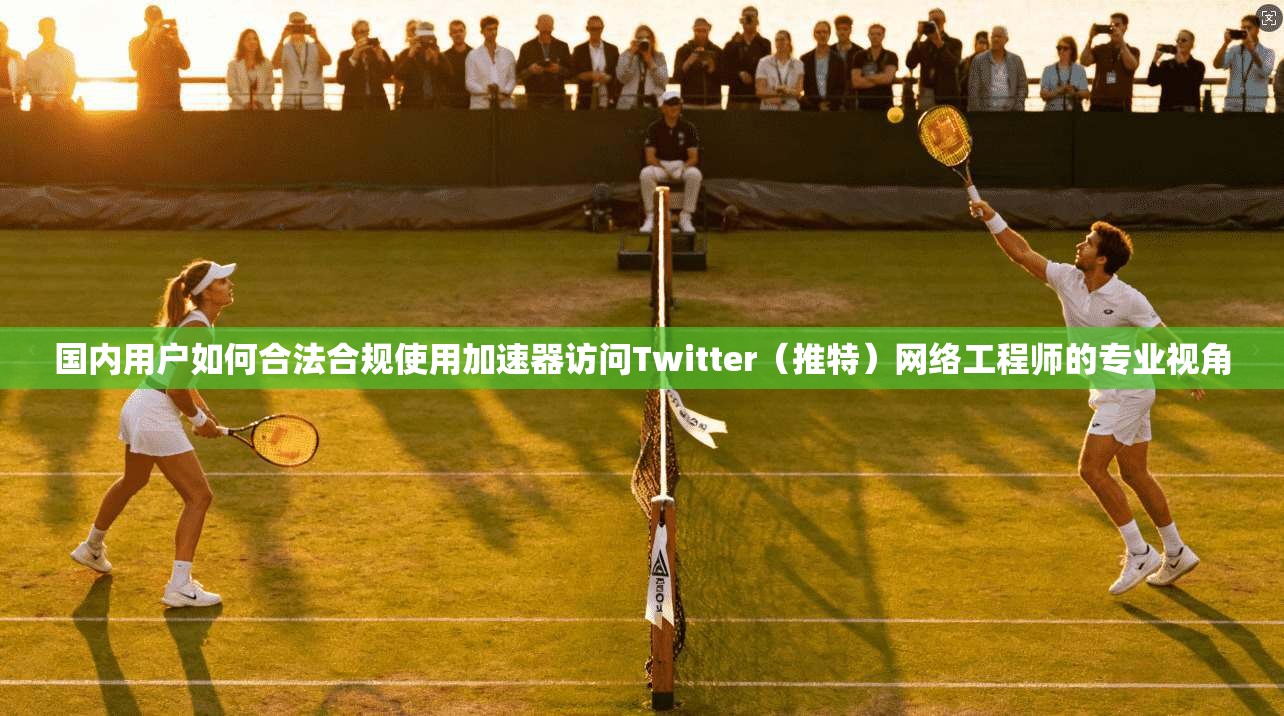 国内用户如何合法合规使用加速器访问Twitter（推特）网络工程师的专业视角