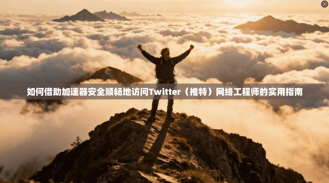 如何借助加速器安全顺畅地访问Twitter（推特）网络工程师的实用指南
