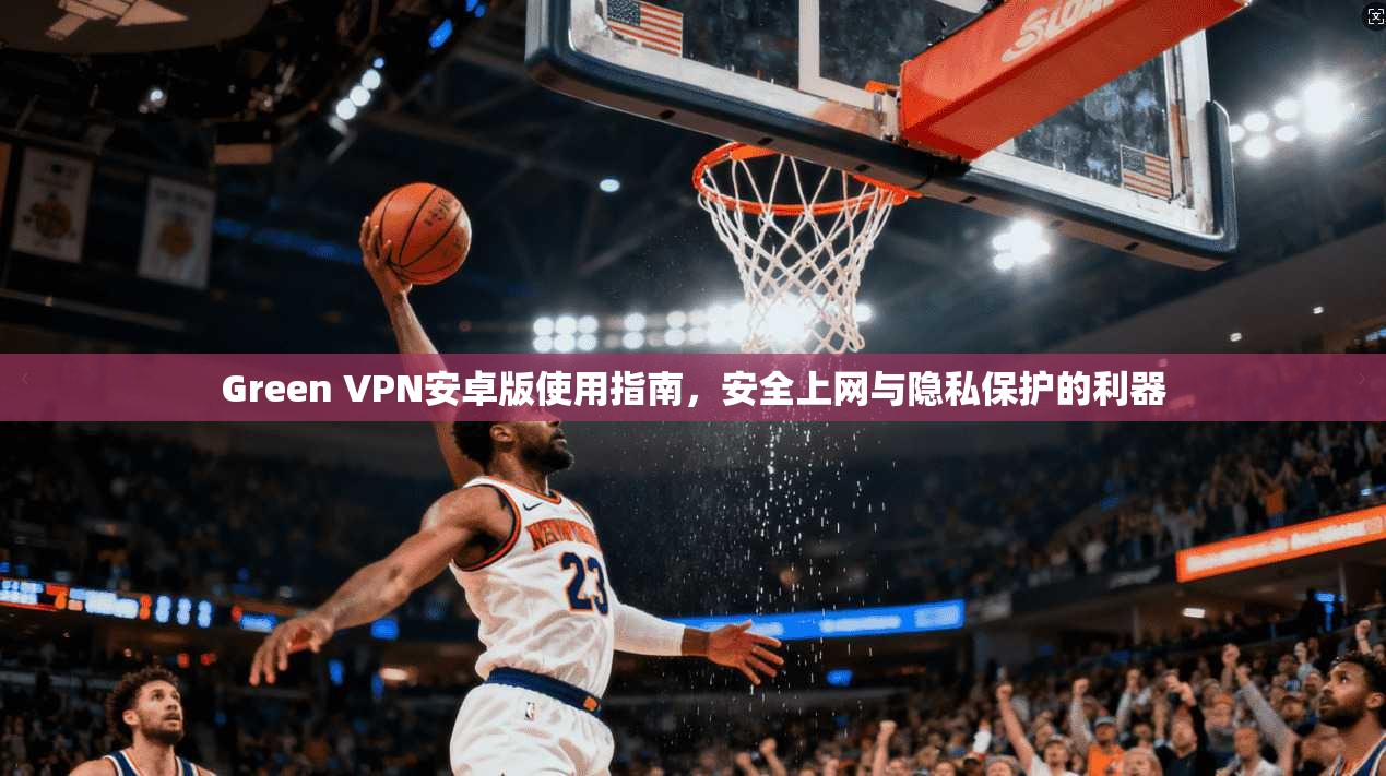 Green VPN安卓版使用指南，安全上网与隐私保护的利器