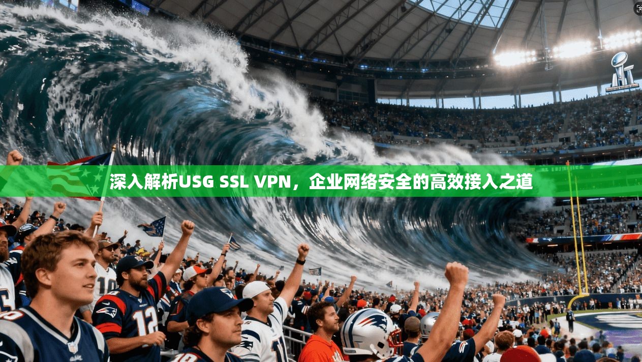深入解析USG SSL VPN,企业网络安全的高效接入之道
