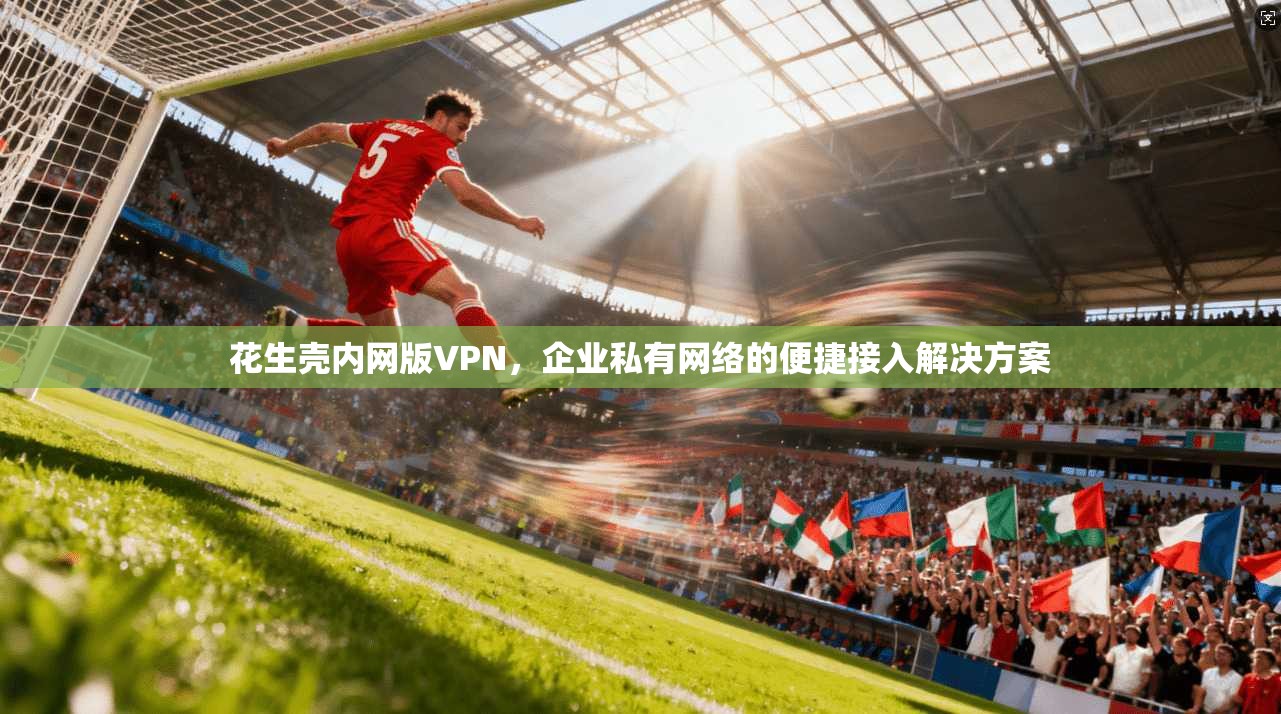 花生壳内网版VPN,企业私有网络的便捷接入解决方案