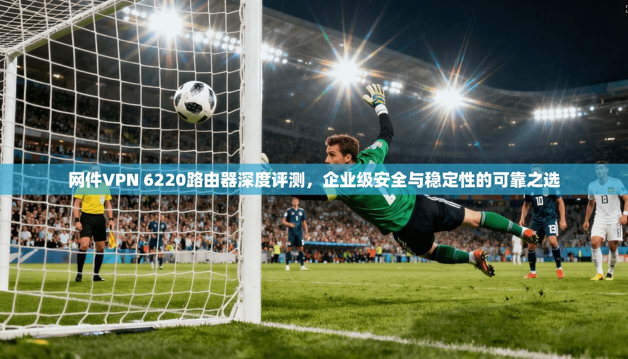 网件VPN 6220路由器深度评测，企业级安全与稳定性的可靠之选