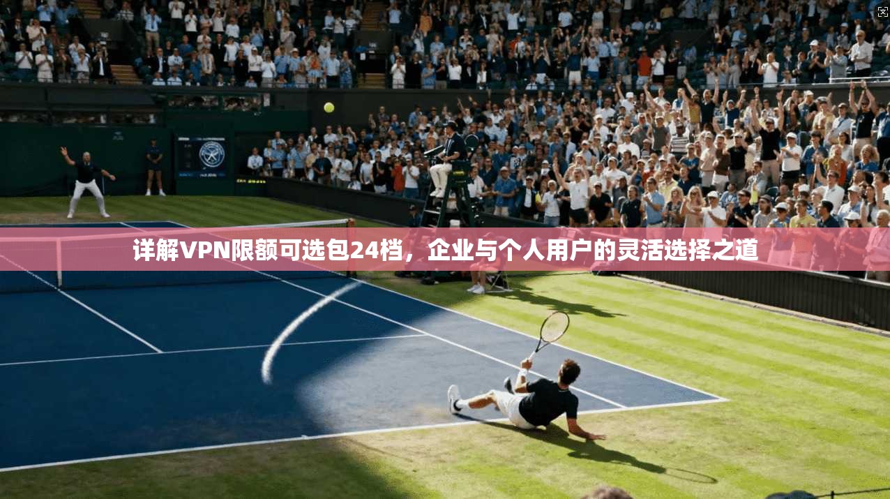 详解VPN限额可选包24档,企业与个人用户的灵活选择之道