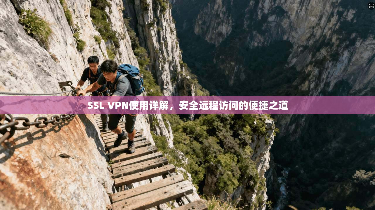SSL VPN使用详解,安全远程访问的便捷之道
