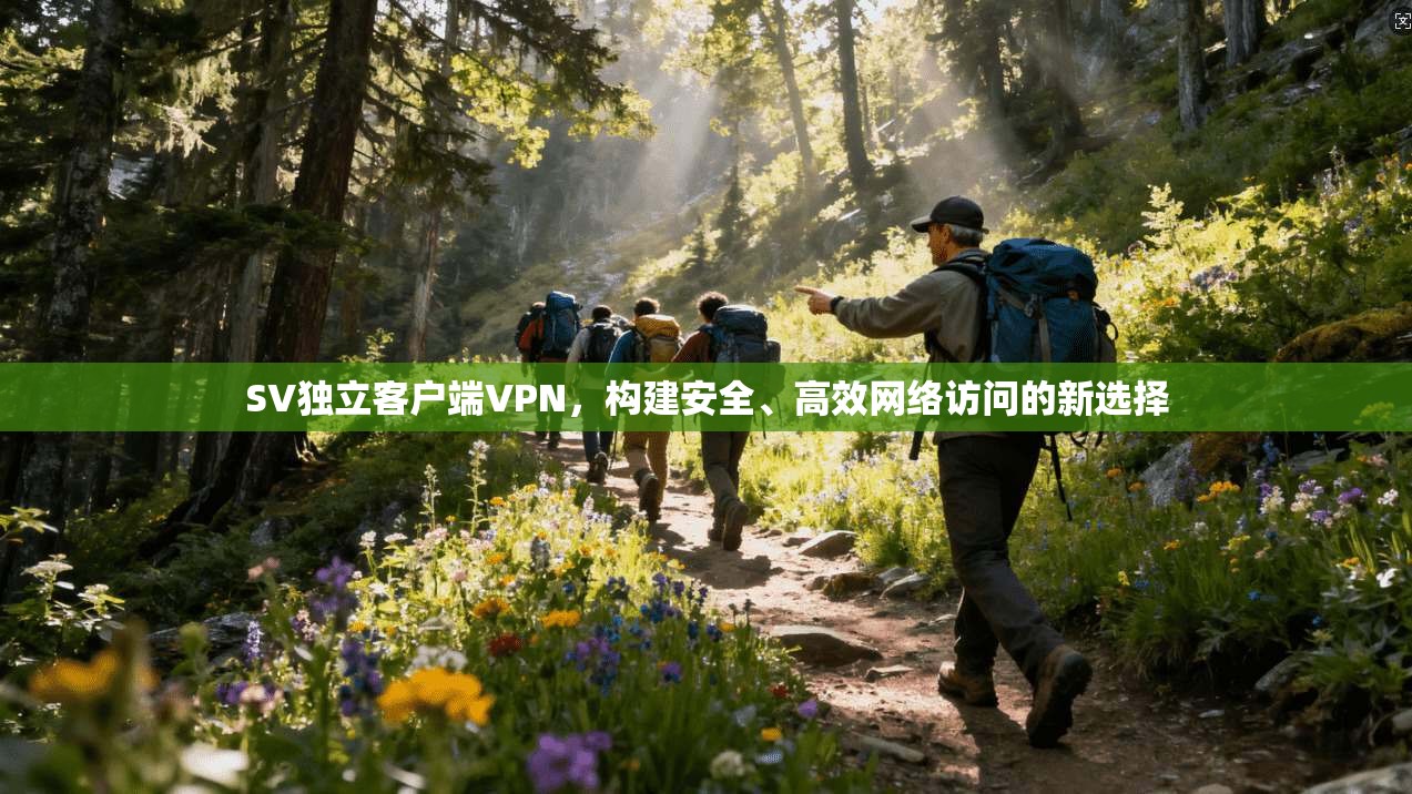 SV独立客户端VPN，构建安全、高效网络访问的新选择
