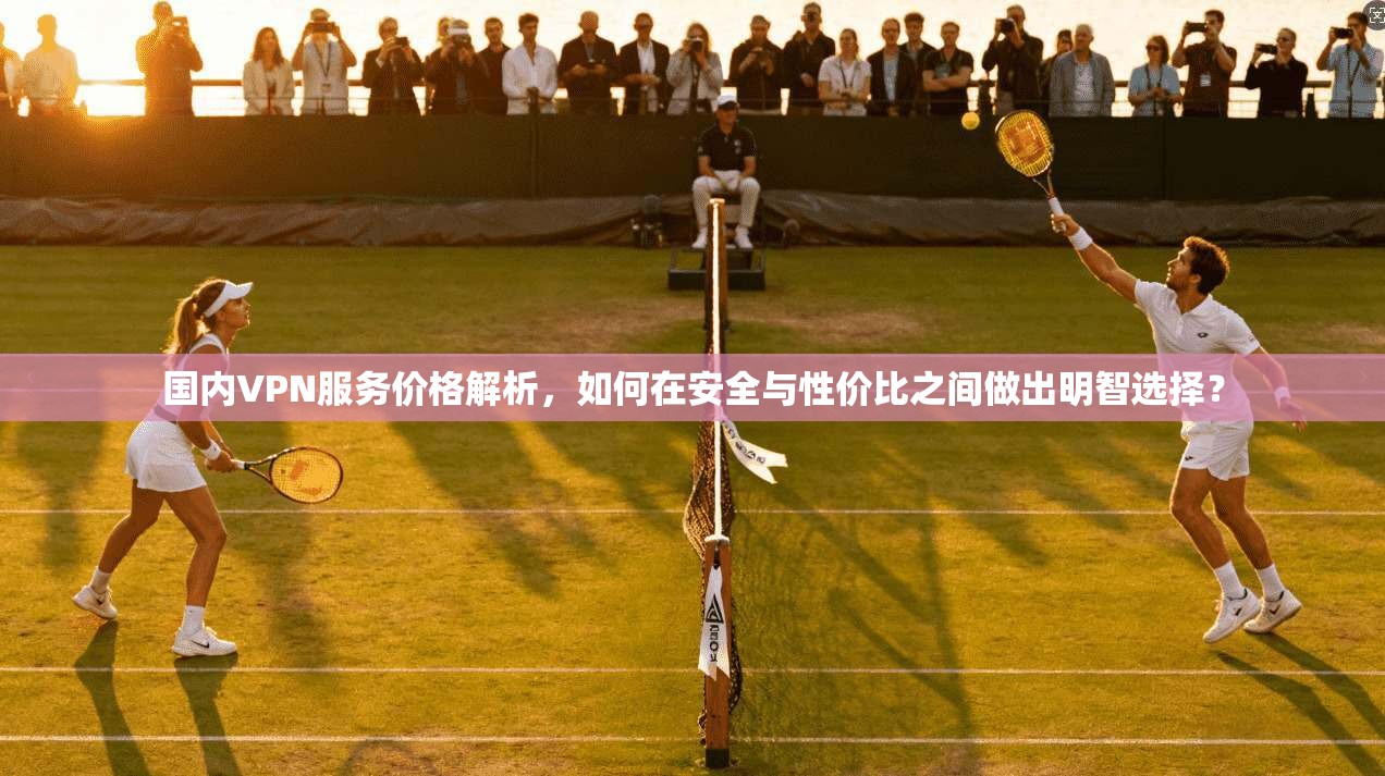 国内VPN服务价格解析,如何在安全与性价比之间做出明智选择?